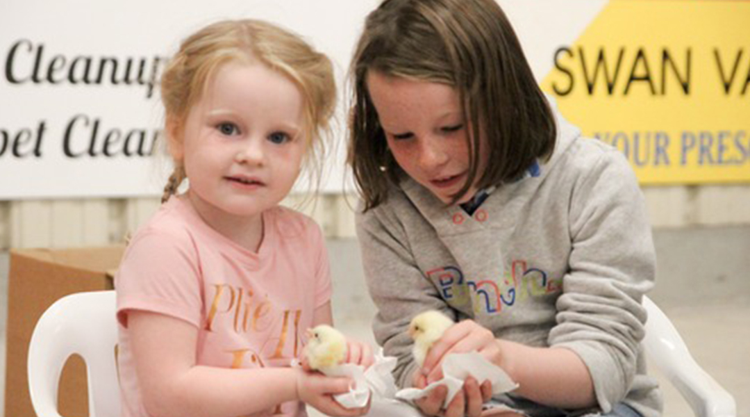 Down-on-the-Farm-photo